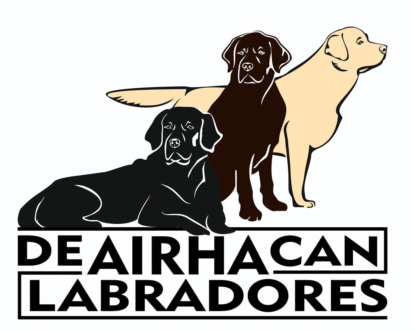 Labradores de Airha Can