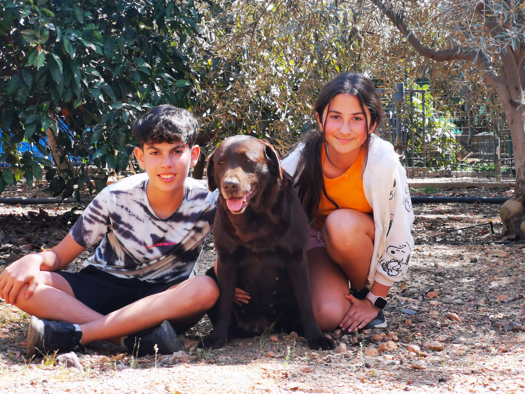 quienes somos quienes somos